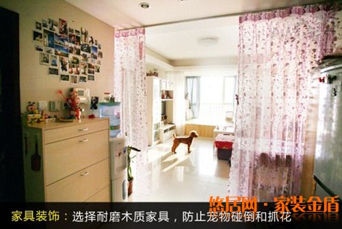 家有爱宠装修小窍门