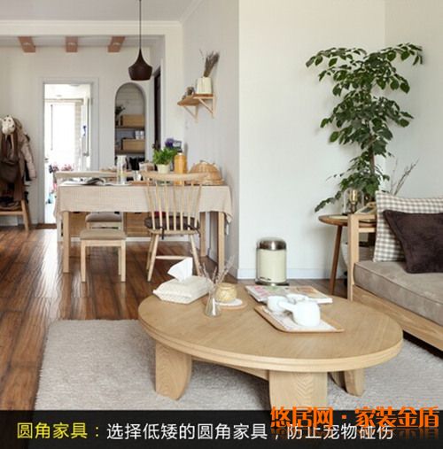 家有爱宠装修小窍门