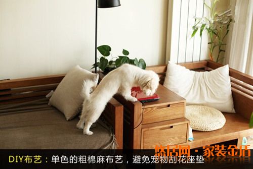 家有爱宠装修小窍门