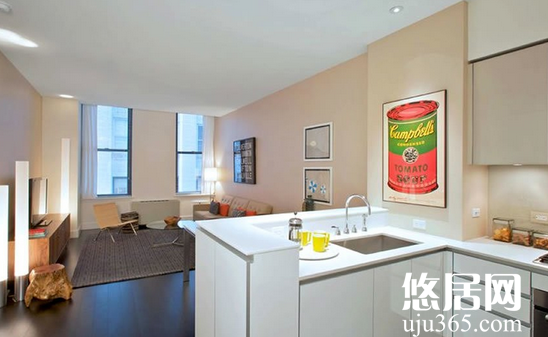 小户型开放式厨房装修注意事项